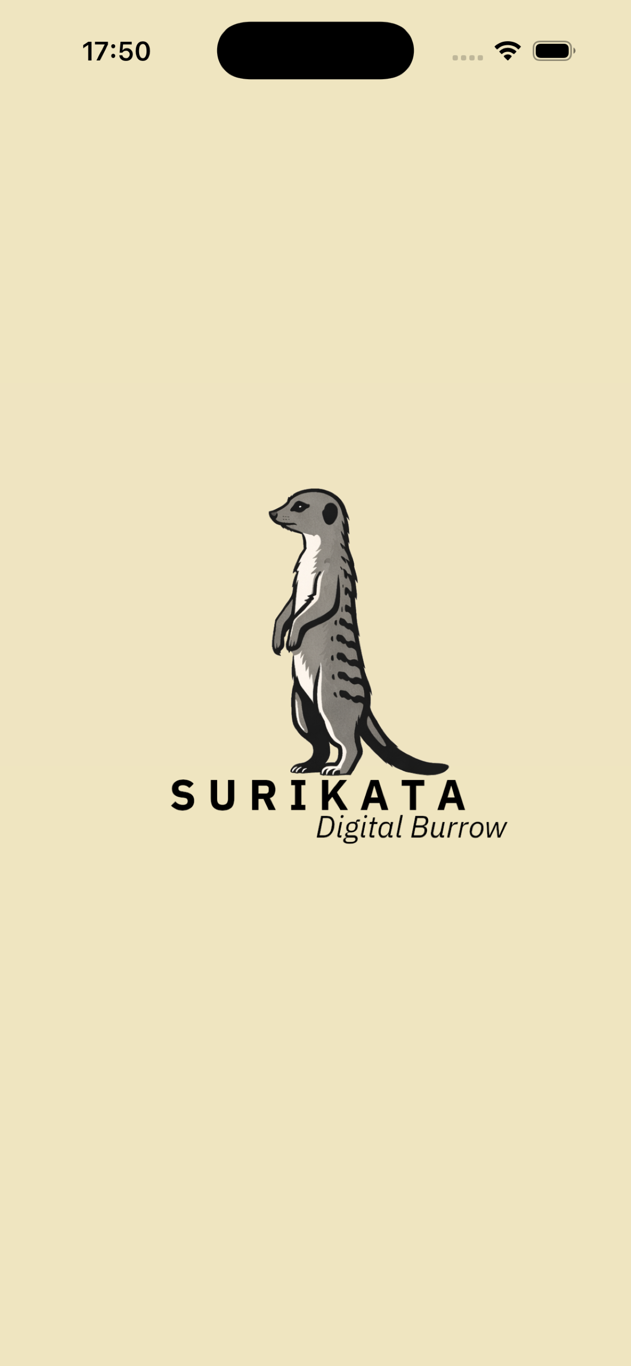 surikata.app screenshot 1